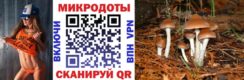 гидра как зайти  Белоусово  darknet наркотические препараты  Галлюциногенные грибы прущие грибы 